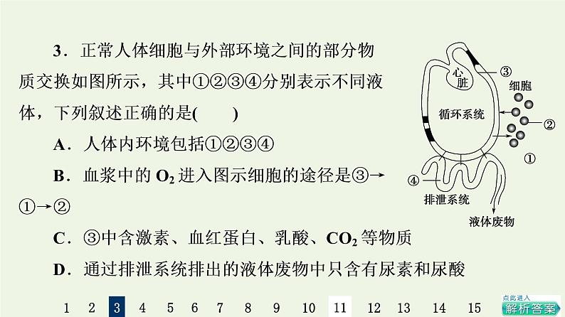 高考生物一轮复习课后集训25人体的内环境与稳态课件第6页