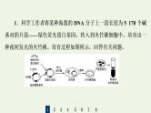 高考生物一轮复习课后集训38基因工程课件