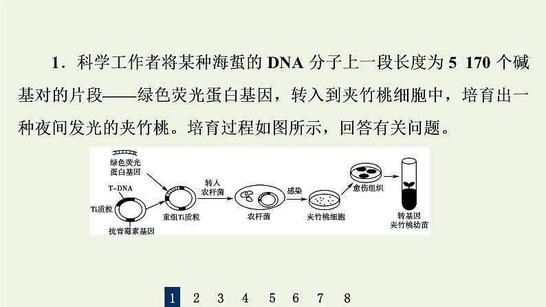 高考生物一轮复习课后集训38基因工程课件第3页