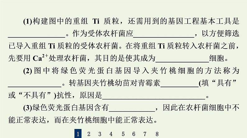 高考生物一轮复习课后集训38基因工程课件第4页