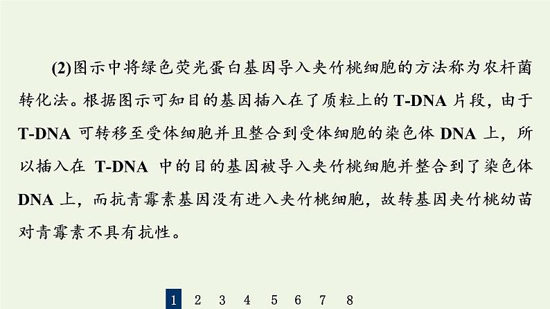 高考生物一轮复习课后集训38基因工程课件第6页