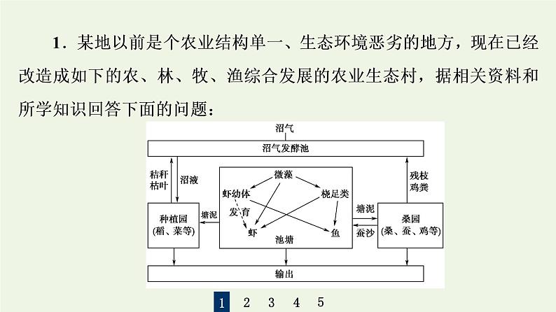 高考生物一轮复习课后集训41生态工程课件03