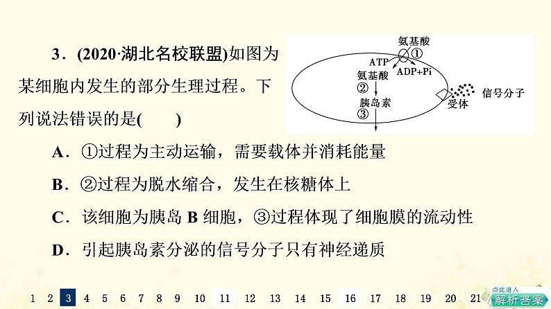 高考生物一轮复习选择性考试阶段滚动评估验收卷5课件第5页