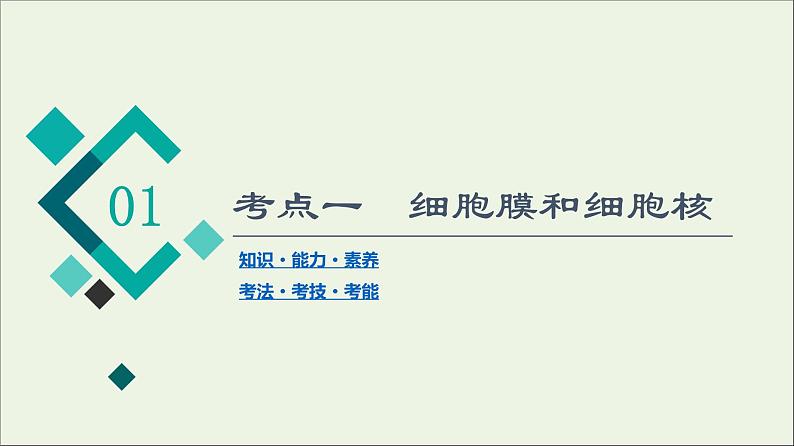 高考生物一轮复习第2单元细胞的基本结构与物质的输入和输出第1讲细胞膜和细胞核课件04