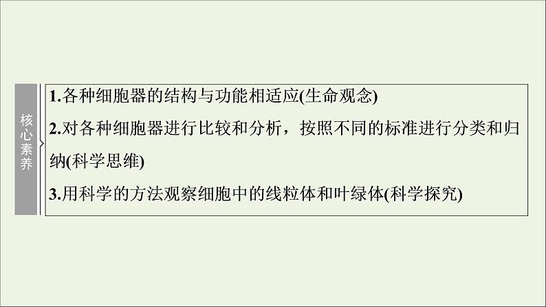 高考生物一轮复习第2单元细胞的基本结构与物质的输入和输出第2讲细胞器__系统内的分工合作课件第3页