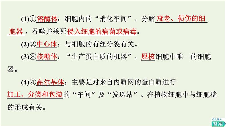 高考生物一轮复习第2单元细胞的基本结构与物质的输入和输出第2讲细胞器__系统内的分工合作课件第8页