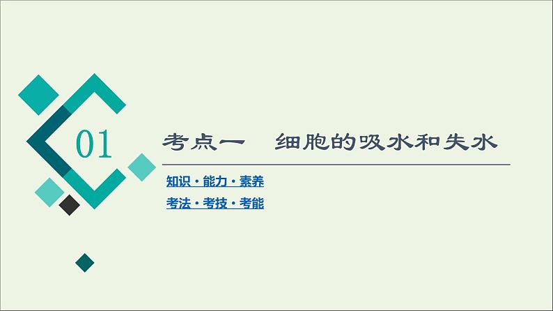 高考生物一轮复习第2单元细胞的基本结构与物质的输入和输出第3讲细胞的物质输入与输出课件04