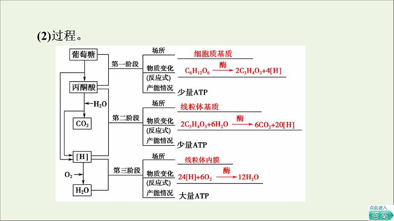 高考生物一轮复习第3单元细胞的能量供应和利用第2讲细胞呼吸课件第7页