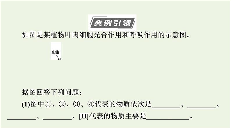 高考生物一轮复习第3单元细胞的能量供应和利用素养加强课2光合作用与细胞呼吸的综合课件03