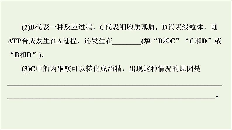 高考生物一轮复习第3单元细胞的能量供应和利用素养加强课2光合作用与细胞呼吸的综合课件04