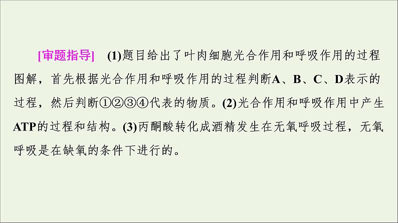 高考生物一轮复习第3单元细胞的能量供应和利用素养加强课2光合作用与细胞呼吸的综合课件05