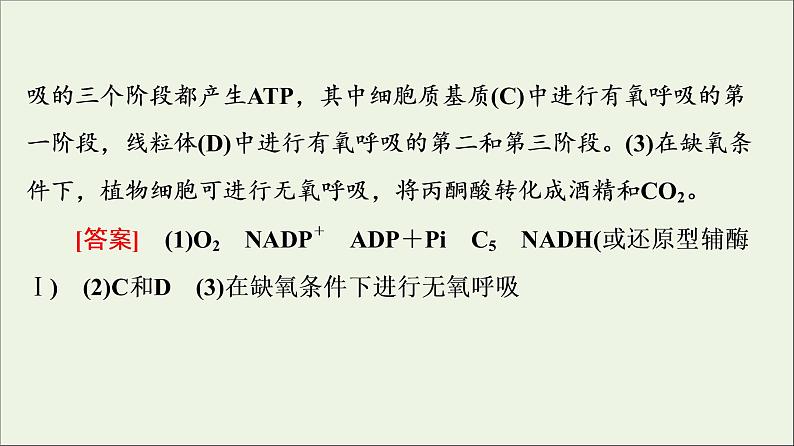 高考生物一轮复习第3单元细胞的能量供应和利用素养加强课2光合作用与细胞呼吸的综合课件07