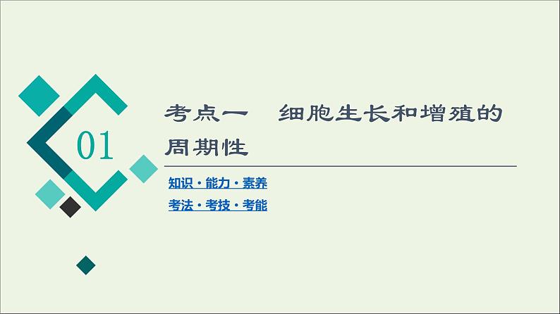 高考生物一轮复习第4单元细胞的生命历程第1讲细胞的增殖课件第4页