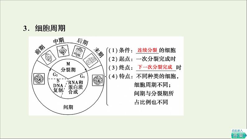 高考生物一轮复习第4单元细胞的生命历程第1讲细胞的增殖课件第8页