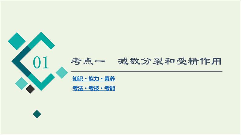 高考生物一轮复习第4单元细胞的生命历程第2讲减数分裂和受精作用课件04