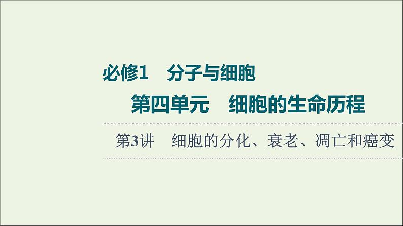 高考生物一轮复习第4单元细胞的生命历程第3讲细胞的分化衰老凋亡和癌变课件01