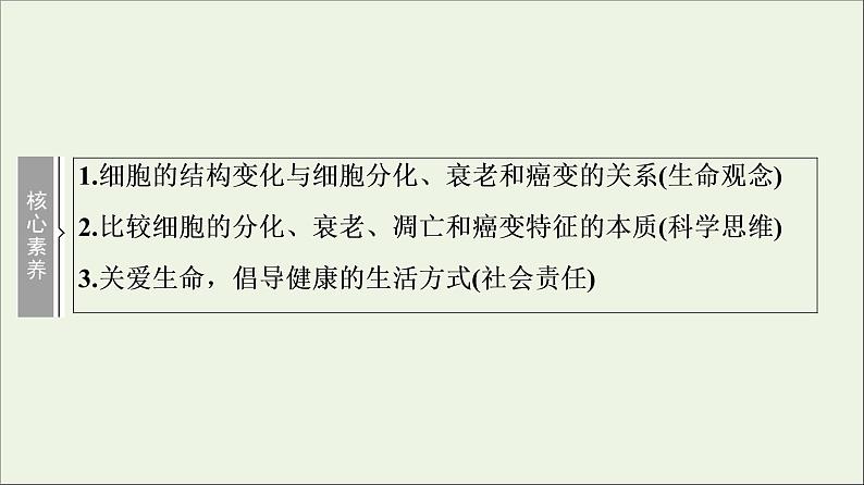 高考生物一轮复习第4单元细胞的生命历程第3讲细胞的分化衰老凋亡和癌变课件03