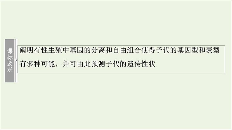 高考生物一轮复习第5单元遗传定律和伴性遗传第1讲孟德尔的豌豆杂交实验一课件02