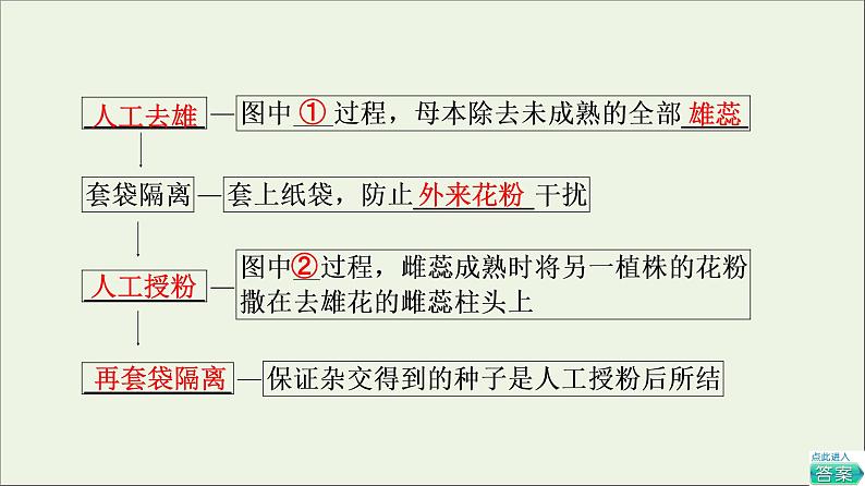 高考生物一轮复习第5单元遗传定律和伴性遗传第1讲孟德尔的豌豆杂交实验一课件07