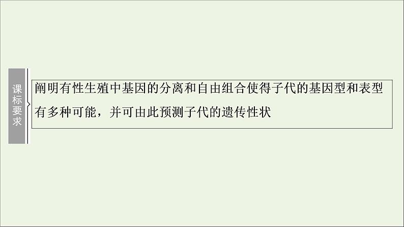 高考生物一轮复习第5单元遗传定律和伴性遗传第2讲孟德尔的豌豆杂交实验二课件02