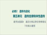 高考生物一轮复习第5单元遗传定律和伴性遗传素养加强课3基因分离定律在特殊情况下的重点题型课件