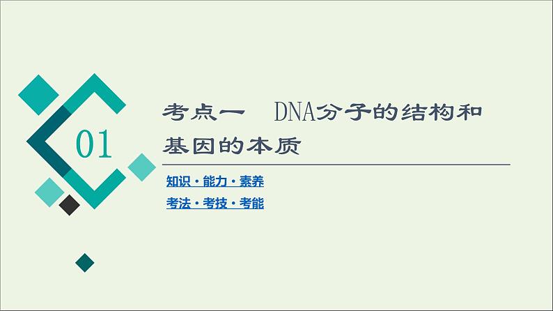 高考生物一轮复习第6单元遗传的分子基础第2讲DNA分子的结构复制与基因的本质课件04