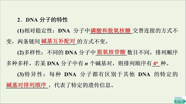 高考生物一轮复习第6单元遗传的分子基础第2讲DNA分子的结构复制与基因的本质课件06