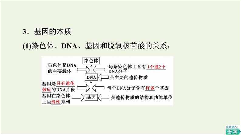 高考生物一轮复习第6单元遗传的分子基础第2讲DNA分子的结构复制与基因的本质课件07