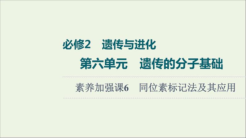 高考生物一轮复习第6单元遗传的分子基础素养加强课6同位素标记法及其应用课件第1页