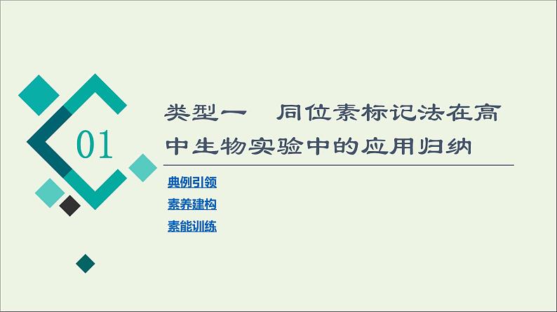 高考生物一轮复习第6单元遗传的分子基础素养加强课6同位素标记法及其应用课件第2页