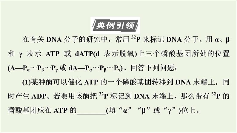 高考生物一轮复习第6单元遗传的分子基础素养加强课6同位素标记法及其应用课件第3页