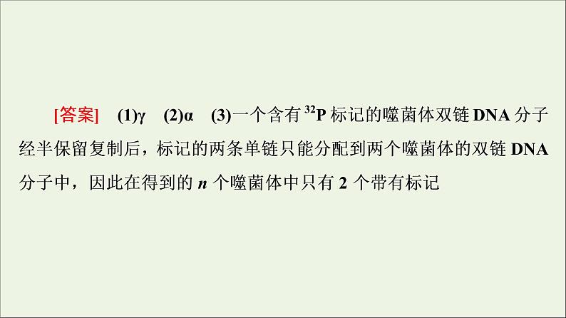 高考生物一轮复习第6单元遗传的分子基础素养加强课6同位素标记法及其应用课件第7页