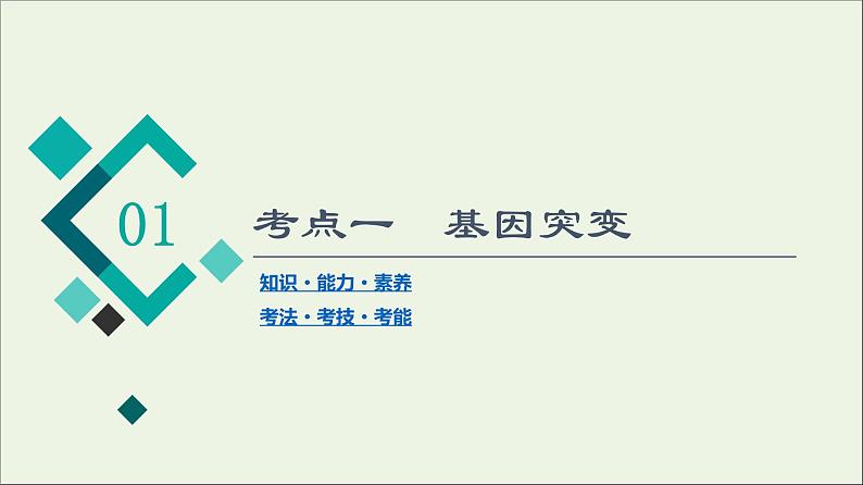 高考生物一轮复习第7单元生物的变异育种与进化第1讲基因突变和基因重组课件04