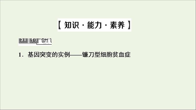 高考生物一轮复习第7单元生物的变异育种与进化第1讲基因突变和基因重组课件05