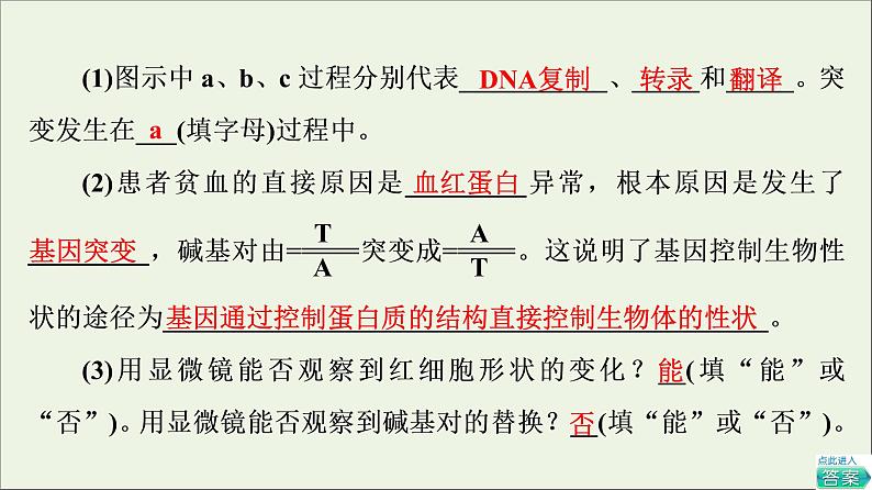 高考生物一轮复习第7单元生物的变异育种与进化第1讲基因突变和基因重组课件07