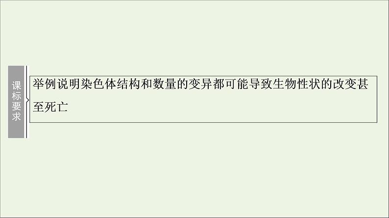 高考生物一轮复习第7单元生物的变异育种与进化第2讲染色体变异与生物育种课件第2页
