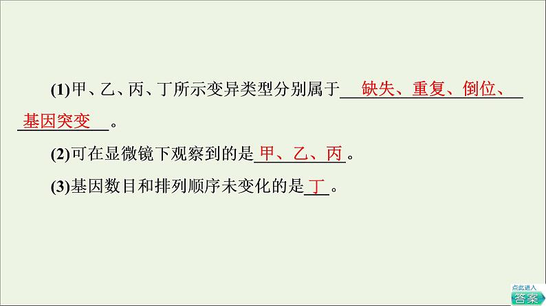 高考生物一轮复习第7单元生物的变异育种与进化第2讲染色体变异与生物育种课件第6页