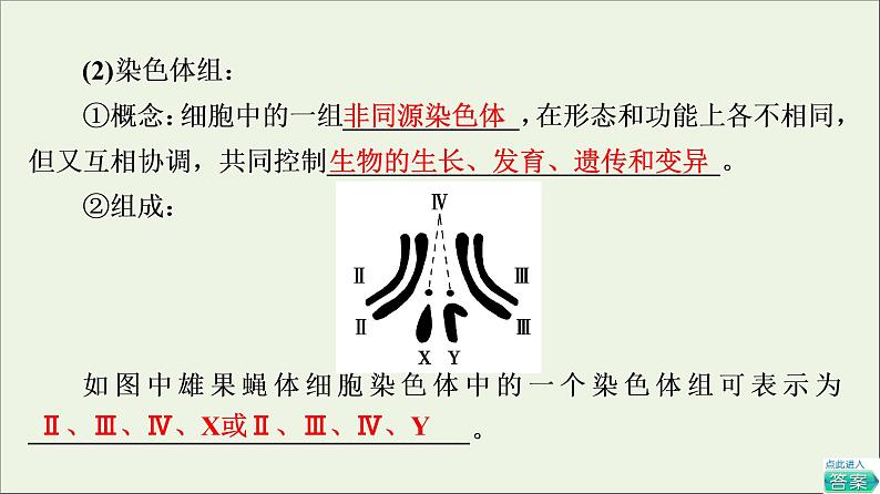 高考生物一轮复习第7单元生物的变异育种与进化第2讲染色体变异与生物育种课件第8页