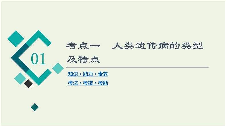 高考生物一轮复习第7单元生物的变异育种与进化第3讲人类遗传课件第4页