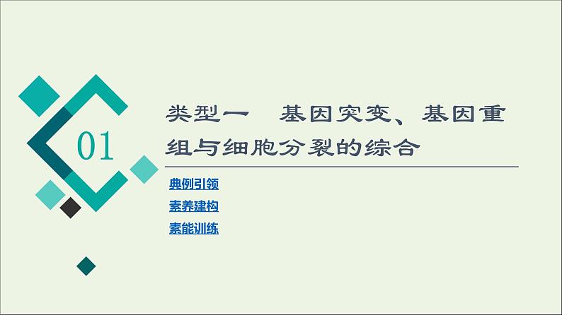 高考生物一轮复习第7单元生物的变异育种与进化素养加强课7变异与细胞分裂和遗传定律的综合课件02