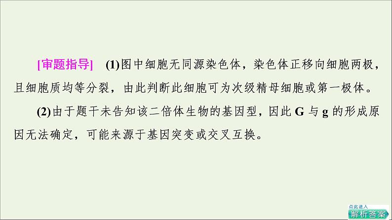 高考生物一轮复习第7单元生物的变异育种与进化素养加强课7变异与细胞分裂和遗传定律的综合课件04