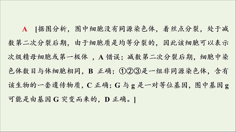 高考生物一轮复习第7单元生物的变异育种与进化素养加强课7变异与细胞分裂和遗传定律的综合课件05