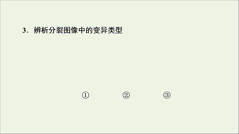 高考生物一轮复习第7单元生物的变异育种与进化素养加强课7变异与细胞分裂和遗传定律的综合课件08