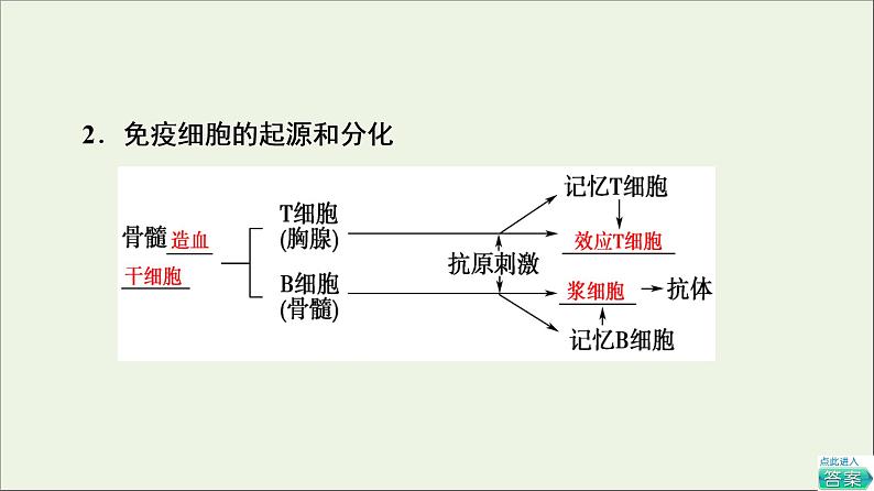 高考生物一轮复习第8单元生命活动的调节第4讲免疫调节课件06