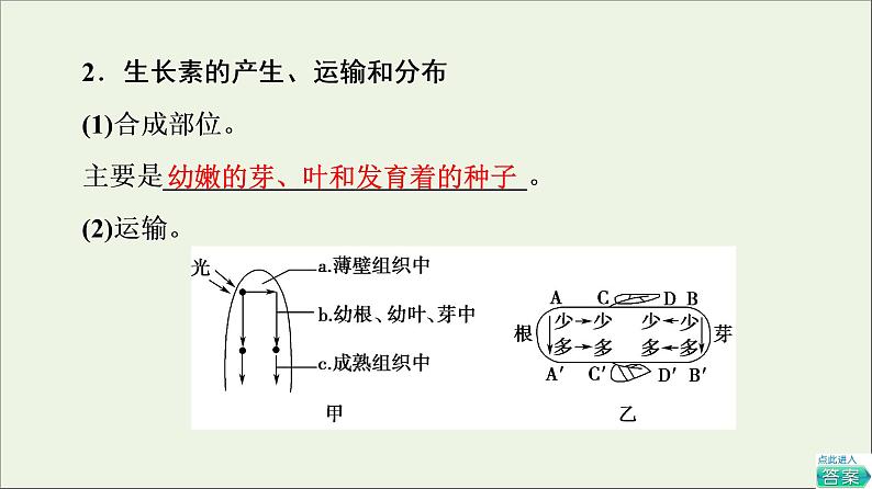 高考生物一轮复习第8单元生命活动的调节第5讲植物的激素调节课件07