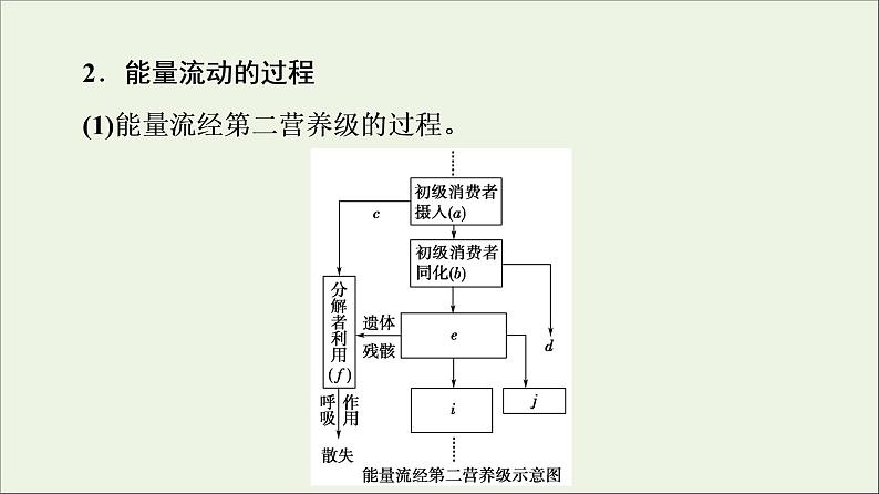 高考生物一轮复习第9单元生物与环境第4讲生态系统的能量流动和物质循环课件07