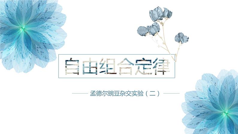 1.2 孟德尔的豌豆杂交实验（二）课件【新教材】2020-2021学年高一生物人教版（2019）必修二第1页