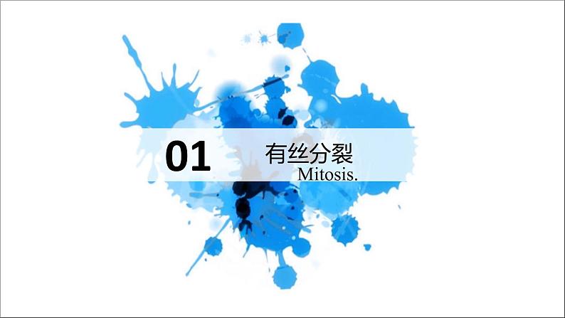 2.1.1 减数分裂 课件【新教材】2020-2021学年高一生物人教版（2019）必修二02