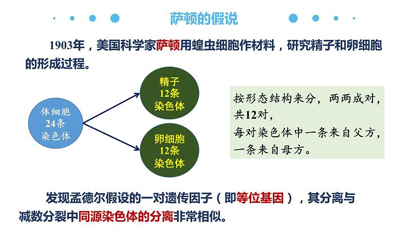 2.2 基因在染色体上 课件【新教材】2020-2021学年高一生物人教版（2019）必修二第5页