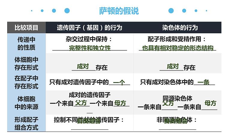 2.2 基因在染色体上 课件【新教材】2020-2021学年高一生物人教版（2019）必修二第7页